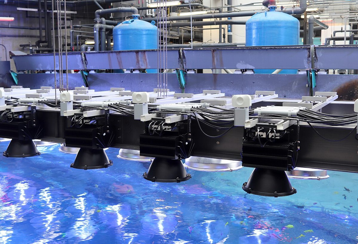 Georgia Aquarium tank lights IMG 6993.jpg — illustrative photo, not partner inventory