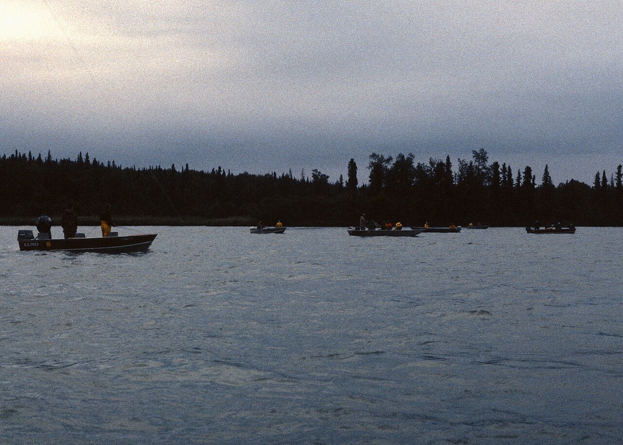 Driving down the Kenai Peninsula (50043424107), illustrative activity photo