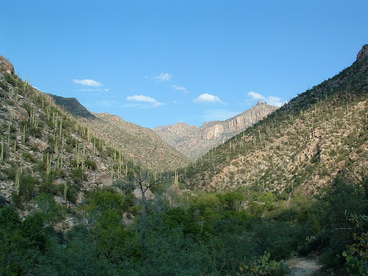 Sabino Canyon, 2002, illustrative activity photo