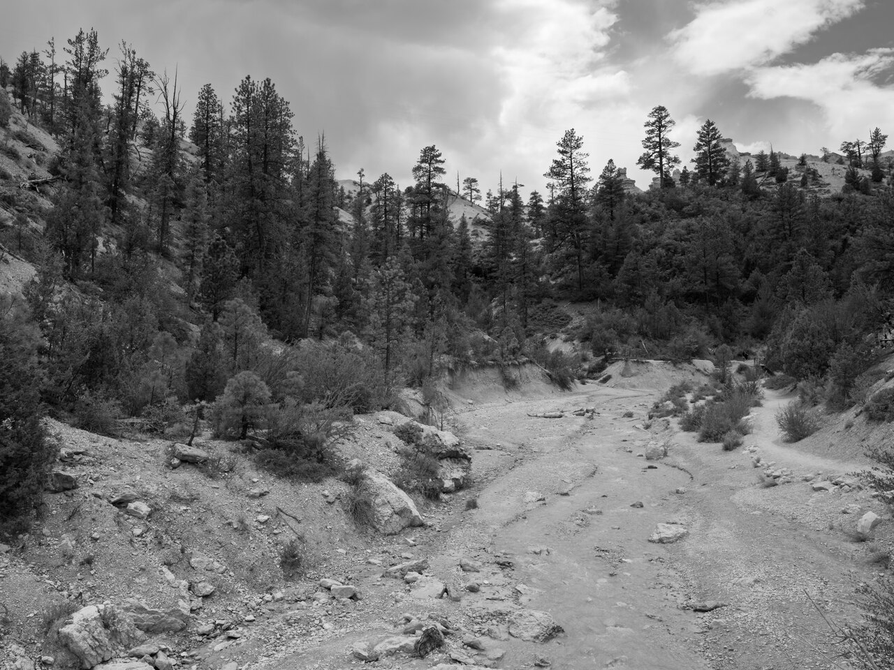 Public Lands Institute - Bryce Canyon National Park - 012, illustrative activity photo
