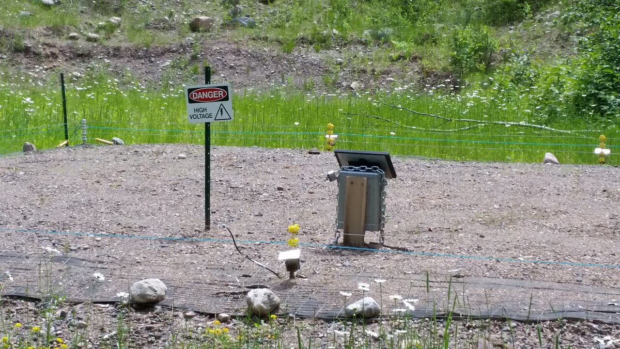 A turtle nesting platform on the Chequamegon-Nicolet National Forest (44095505061), illustrative photo