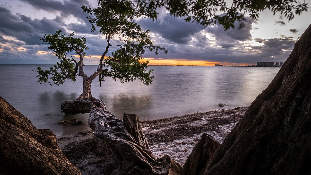 Sunset In Key Biscayne Miami Florida Travel Photography (199358837), illustrative activity photo