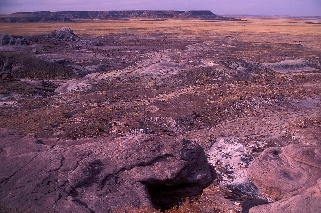 Petrified Forest National Park (GeoDIL number - 2873), illustrative activity photo