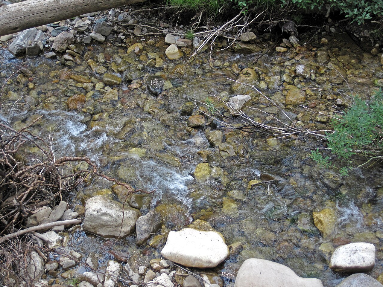 Cabin Creek (Gallatin National Forest, Gallatin County, Montana, USA) 6 (45120266452), illustrative activity photo