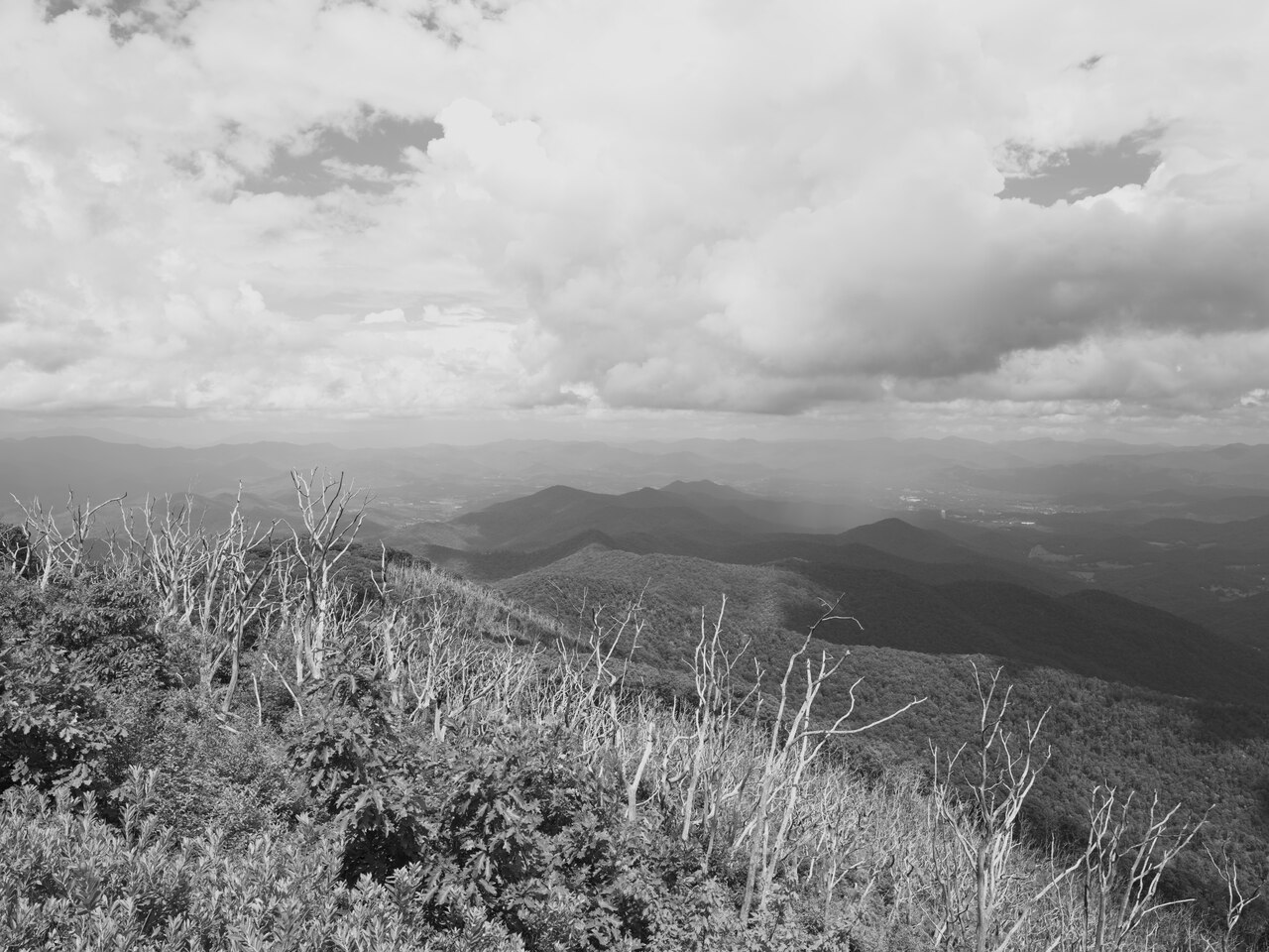 Public Lands Institute - Nantahala National Forest - 003, illustrative photo
