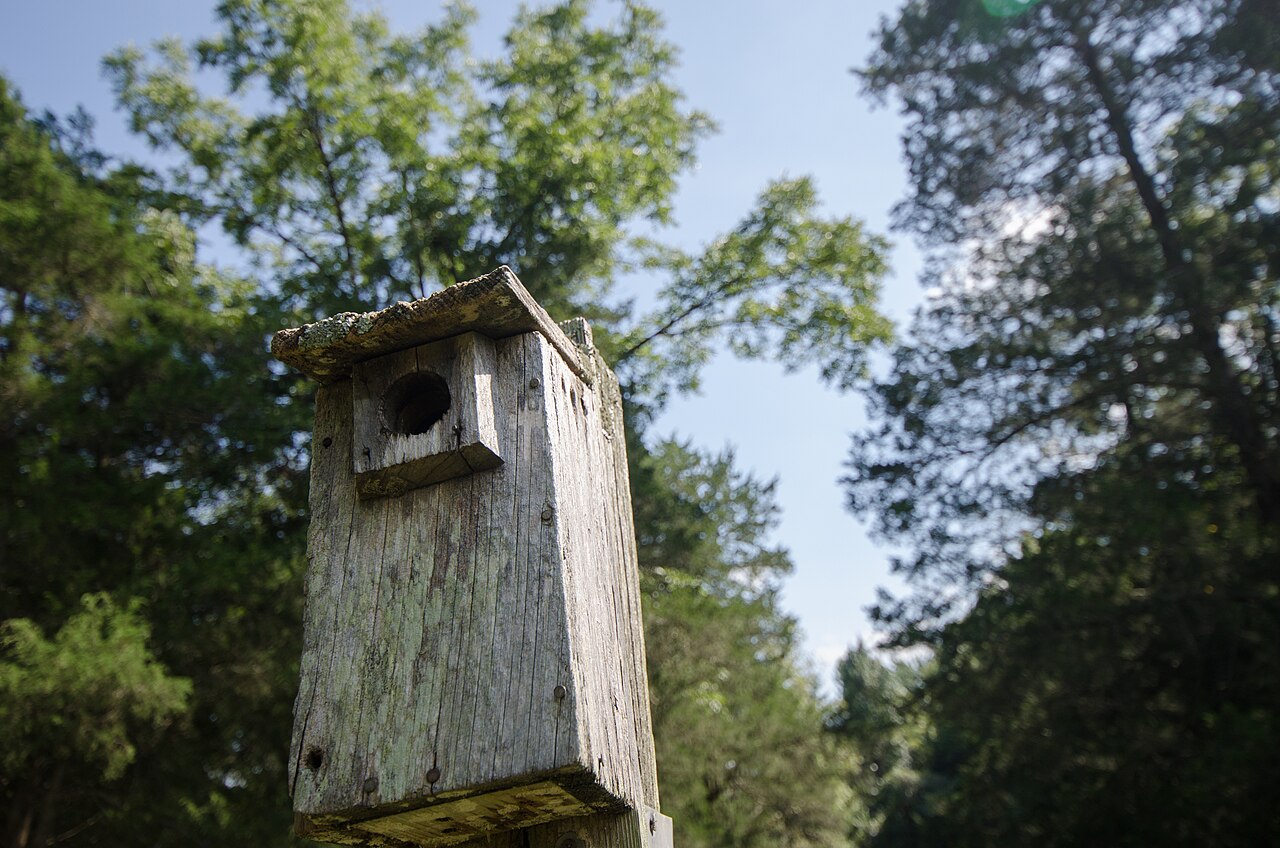 Land Between The Lakes National Recreation Area, Dover, United States (Unsplash), illustrative activity photo