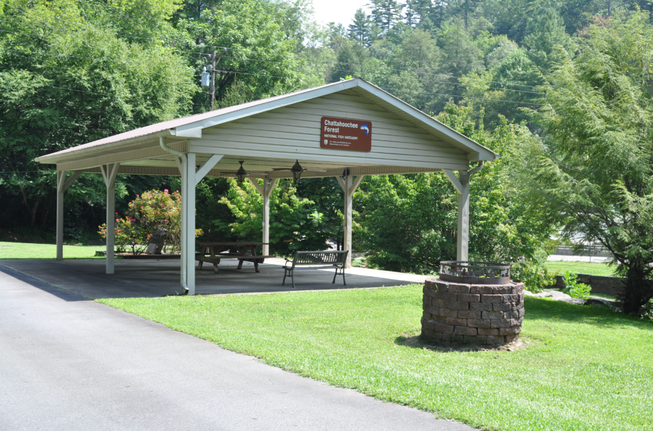 Chattahoochee Forest NFH education pavilion, illustrative activity photo