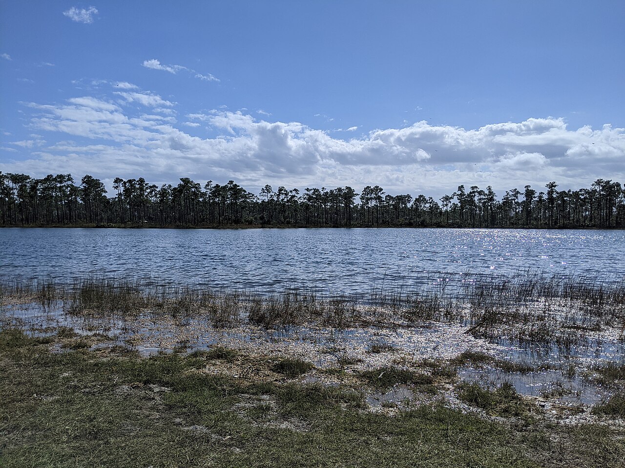 View from lakeside Everglades, illustrative activity photo