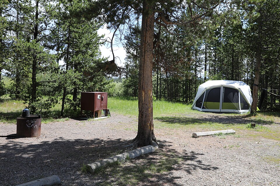 A tent, bear food box and campfire ring in a campsite 3W6A3665 (53056105180), illustrative photo