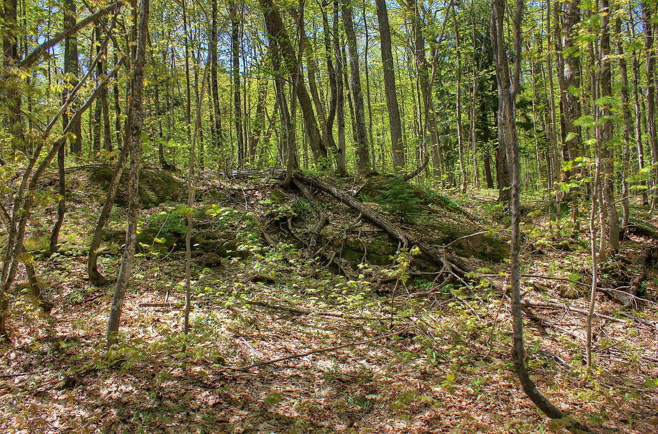 Gfp-michigan-porcupine-mountains-state-park-forest-trees, illustrative activity photo