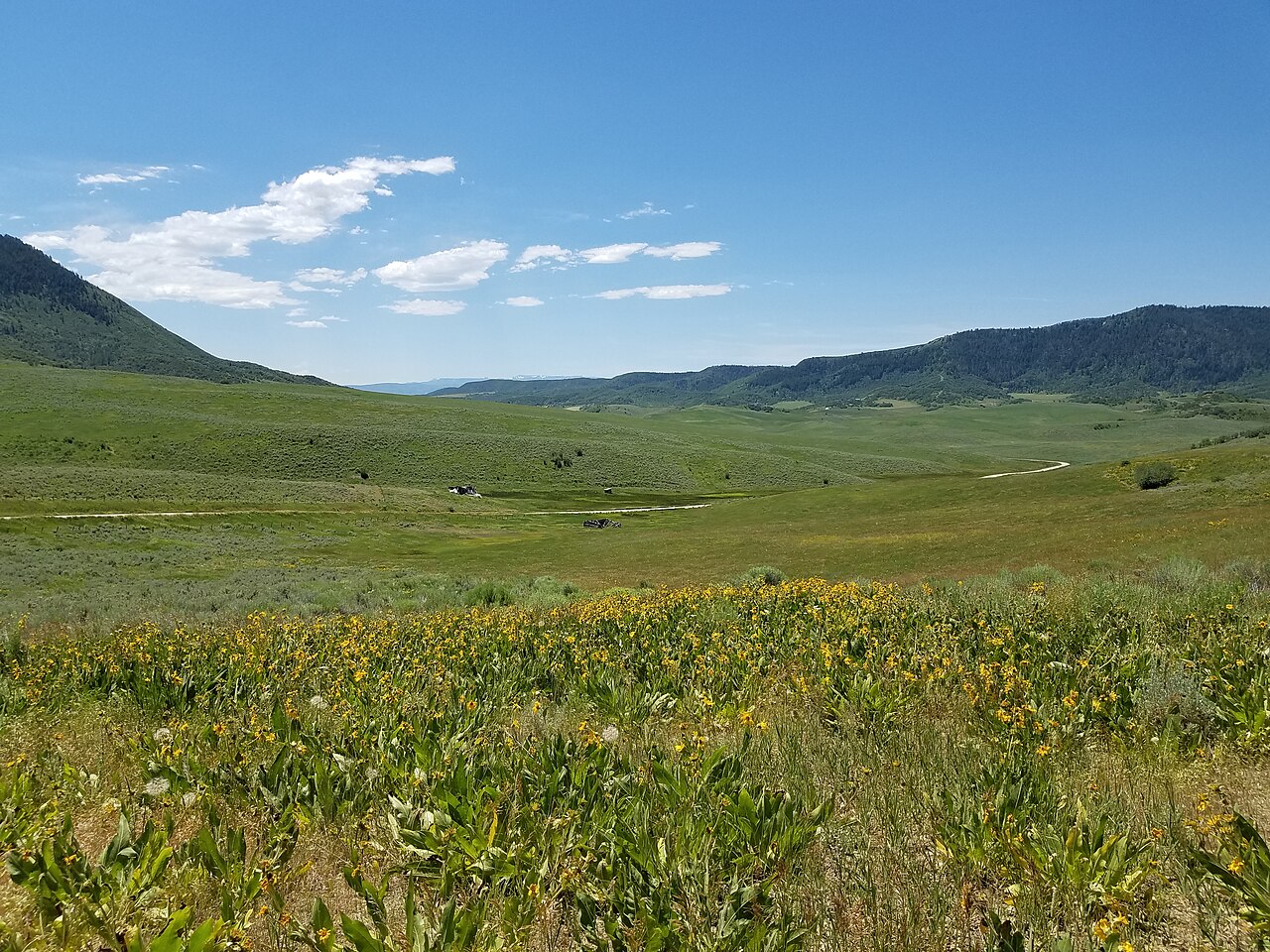 Mystic, Colorado - location of extinct town. (43074671941), illustrative activity photo