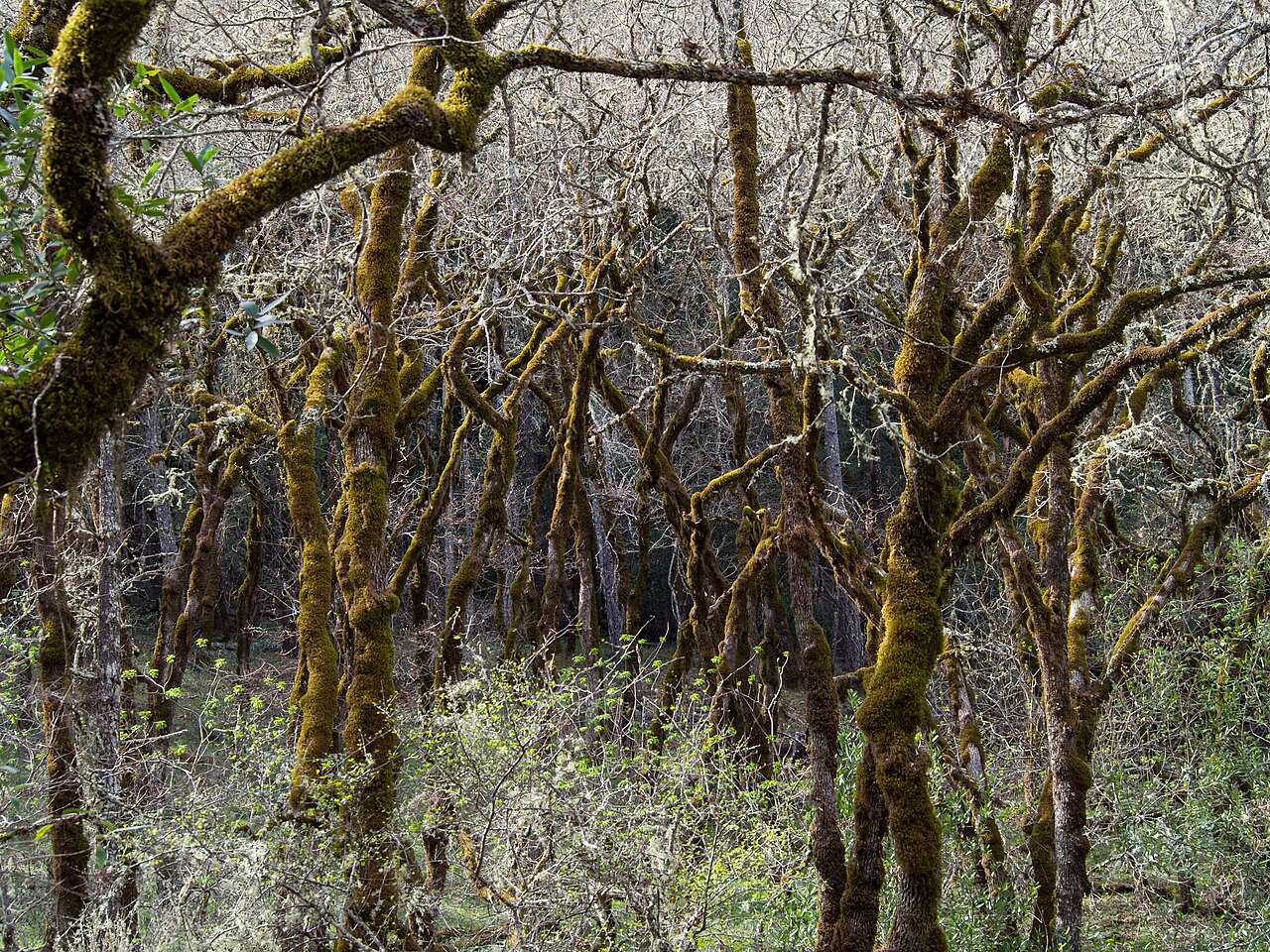 Bothe-Napa Valley State Park (01811), illustrative activity photo