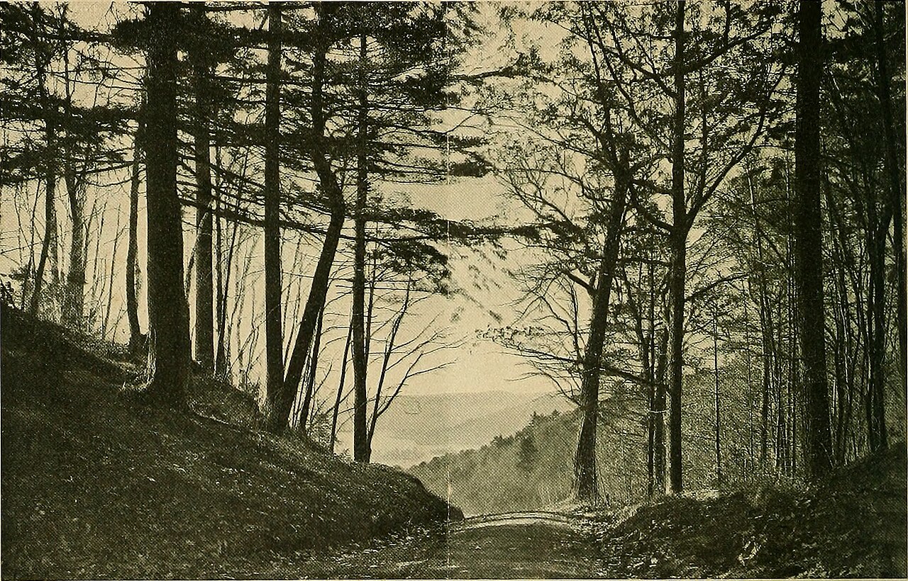 The Berkshire and Litchfield Hills (1912) (14758029574), illustrative activity photo