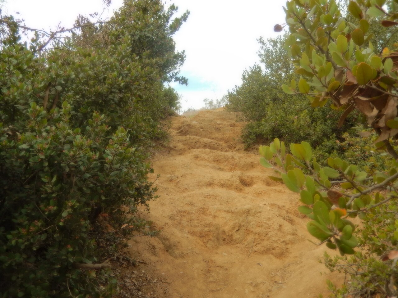 Rugged hiking trail in Griffith Park, Los Angeles DSCN0101, illustrative activity photo