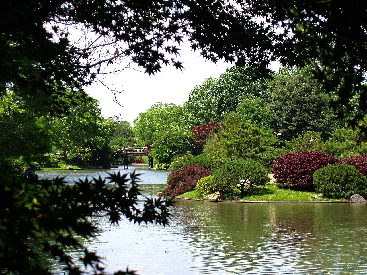 Missouri Botanical Garden - Seiwa-en, illustrative activity photo