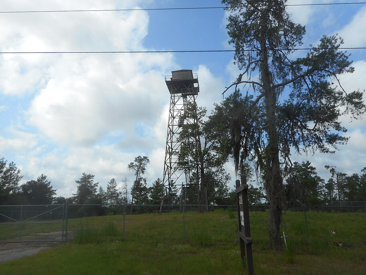 Central Fire Tower; Ocala National Forest-2, illustrative activity photo