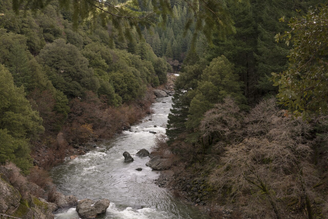 A rushing stream in the Tahoe National Forest in California's Tahoe National Forest LCCN2013631085, illustrative activity photo