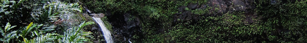 Hana Banner, illustrative activity photo