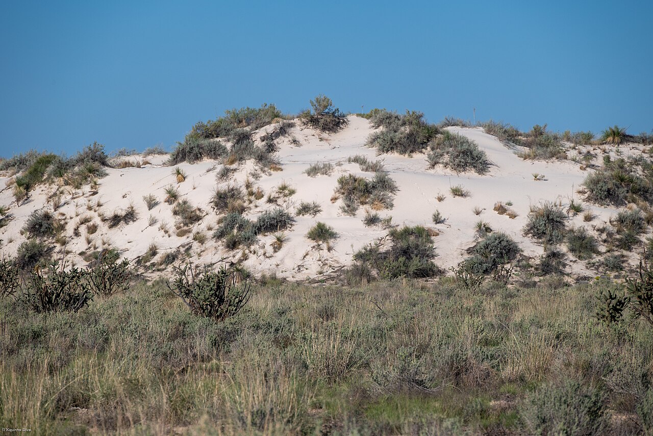 White Sands National Park - 55459130311, illustrative activity photo
