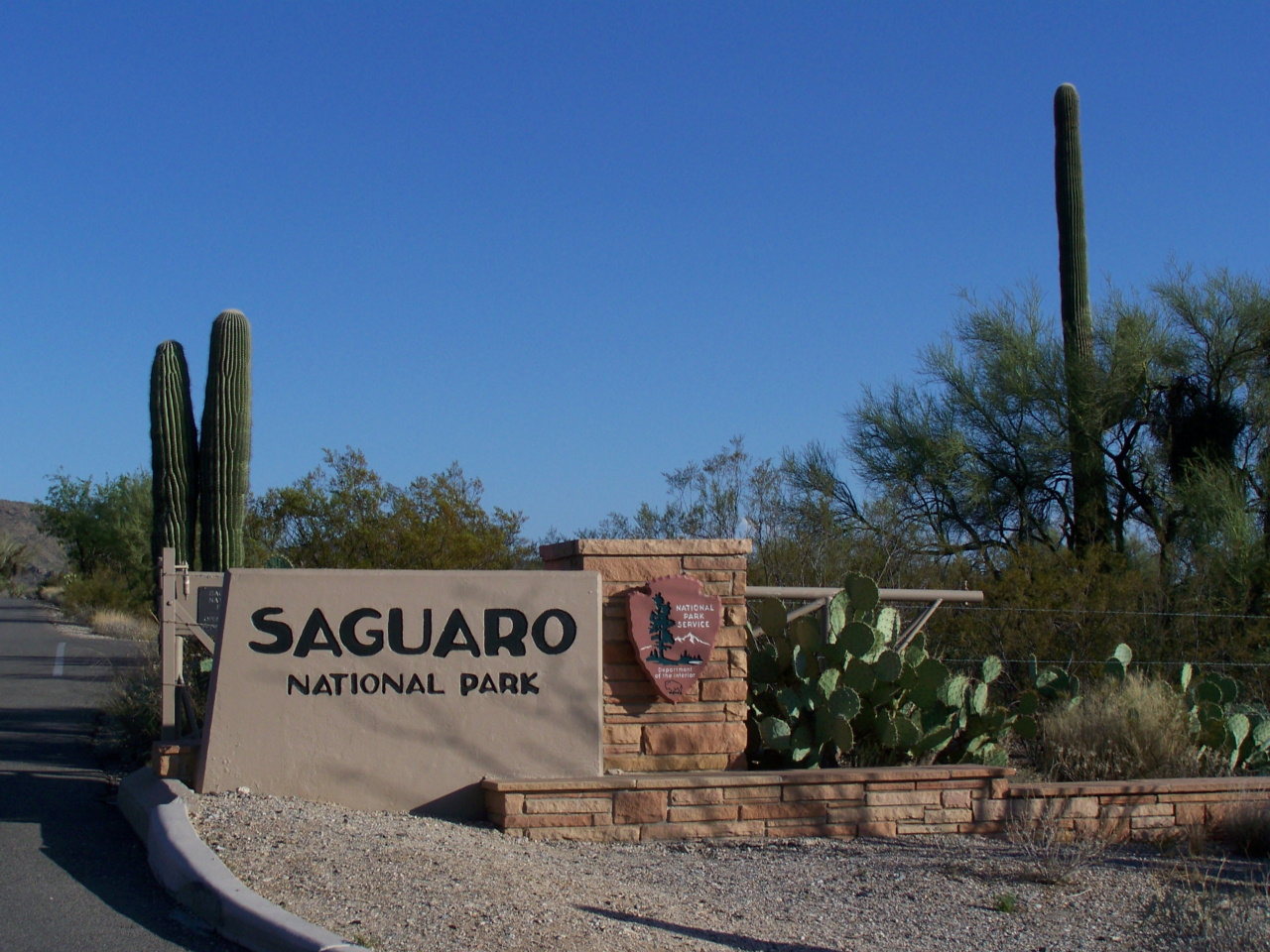 Saguaro National Park East Entry, illustrative activity photo