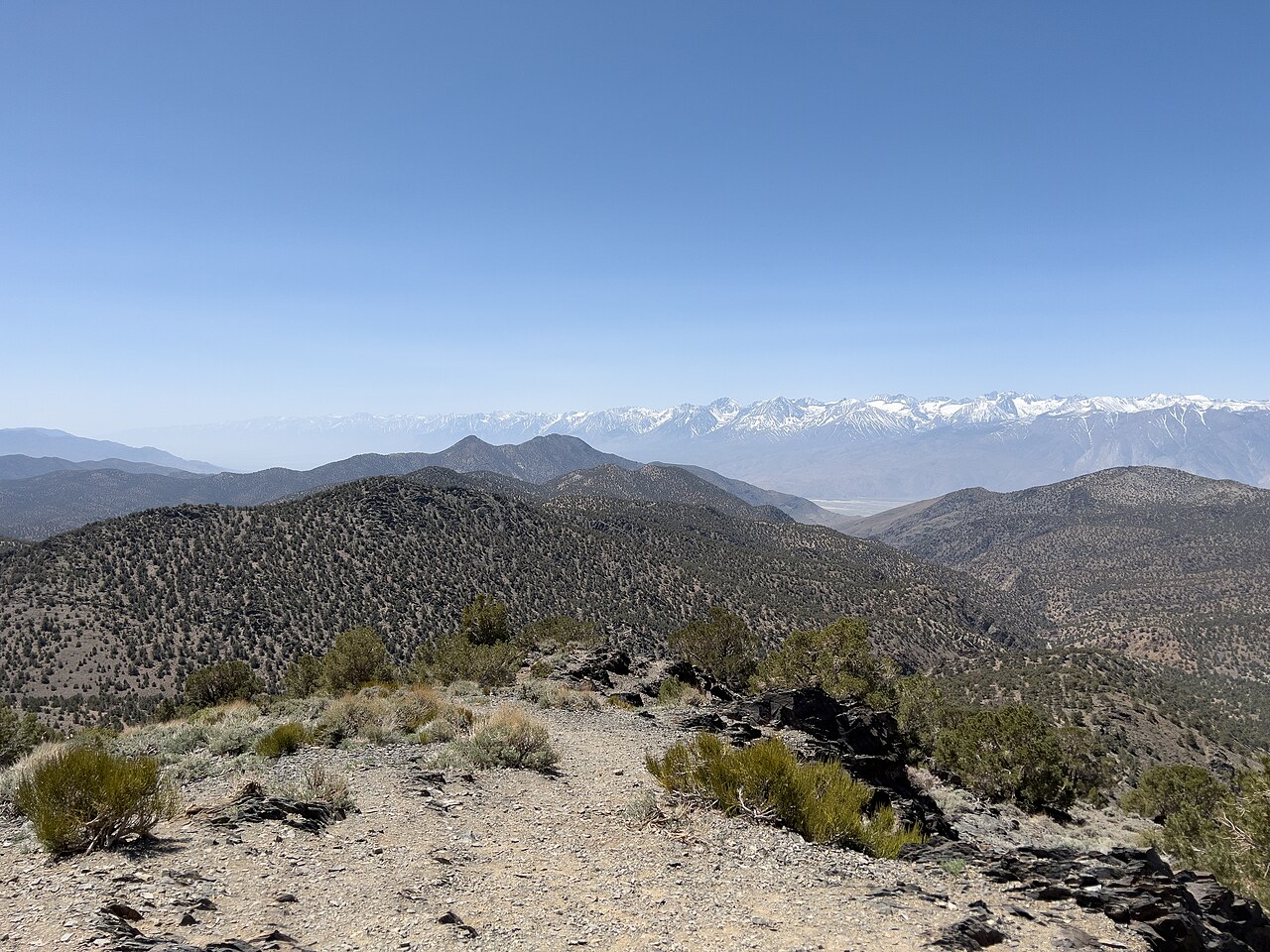 White Mountains Inyo County California 04 30 2022 11, illustrative activity photo