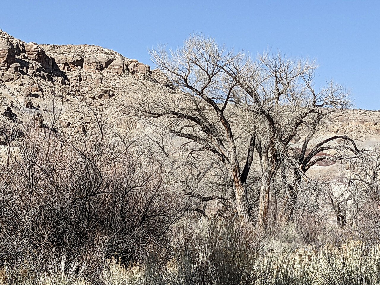 Capitol Reef National Park UT 20220405 225929947, illustrative activity photo
