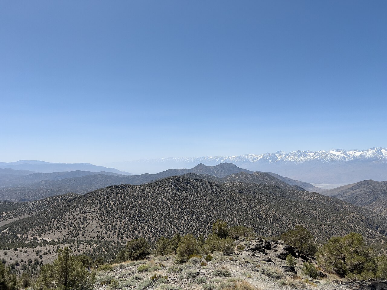 White Mountains Inyo County California 04 30 2022 6, illustrative activity photo