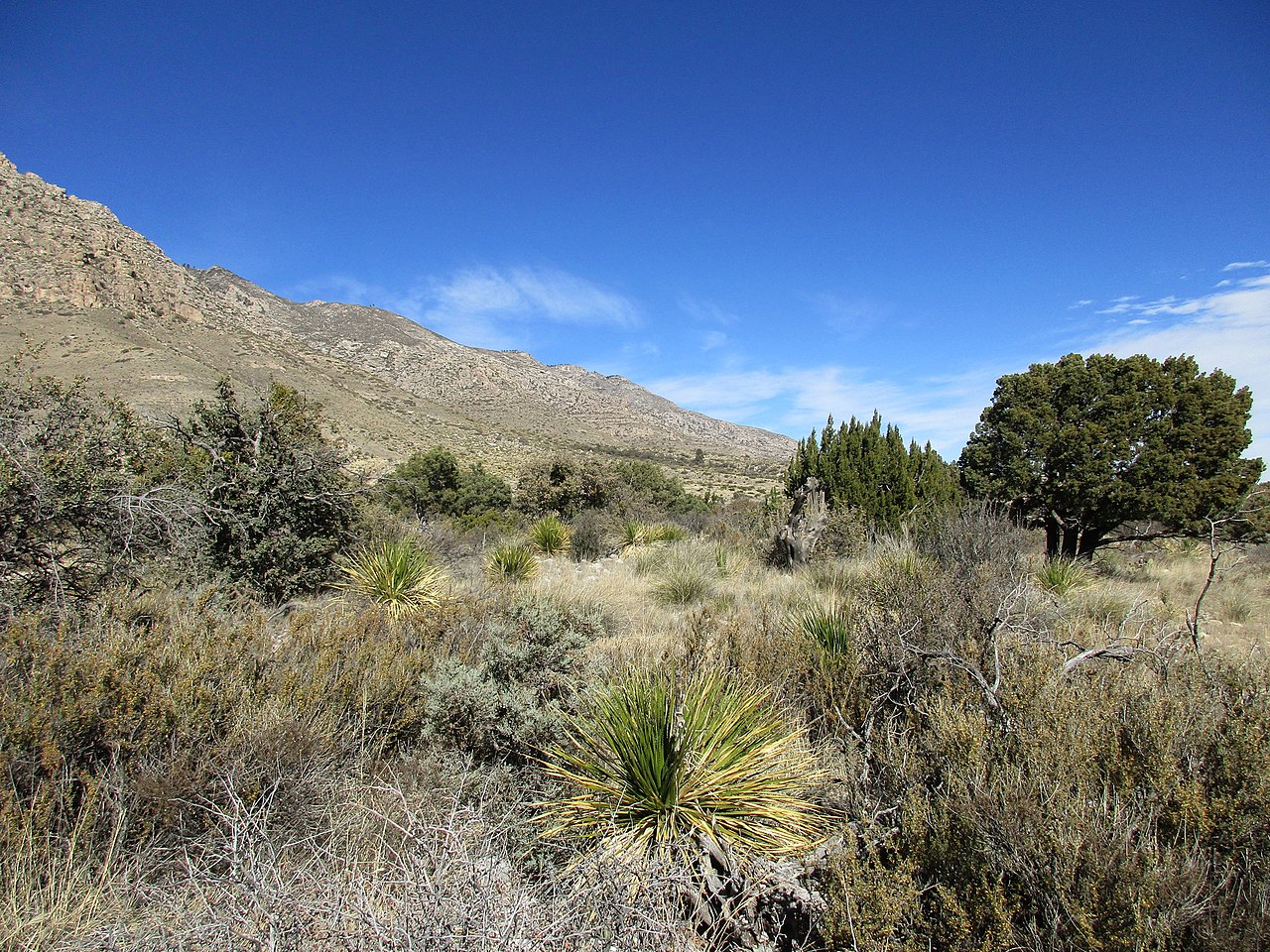 Guadalupe Mountains National Park - 45330785225, illustrative activity photo