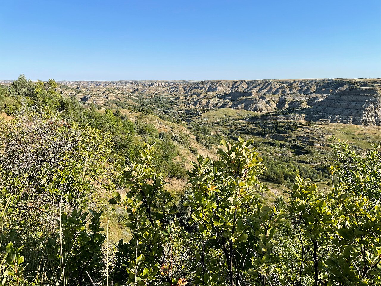 Cottonwood Creek, Maah Daah Hey Trail, McKenzie Ranger District, Little Missouri National Grassland, Region 1 (52339112839), illustrative activity photo