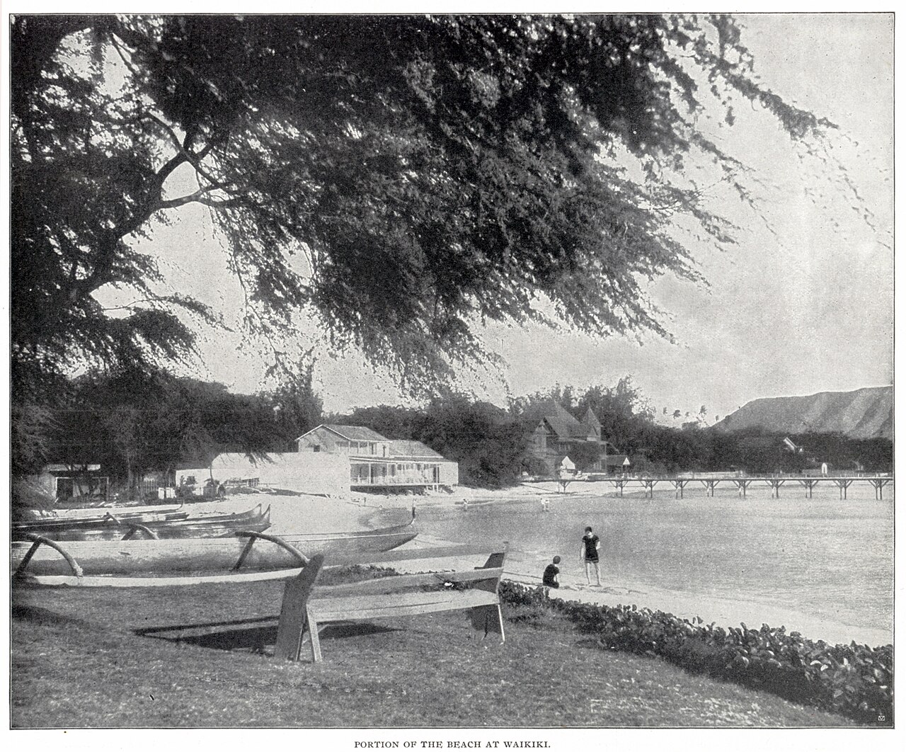 Waikiki beach (1899), illustrative activity photo