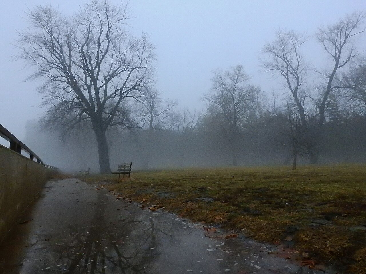 Fog and Mist at "The Rock", Starved Rock State Park, illustrative activity photo