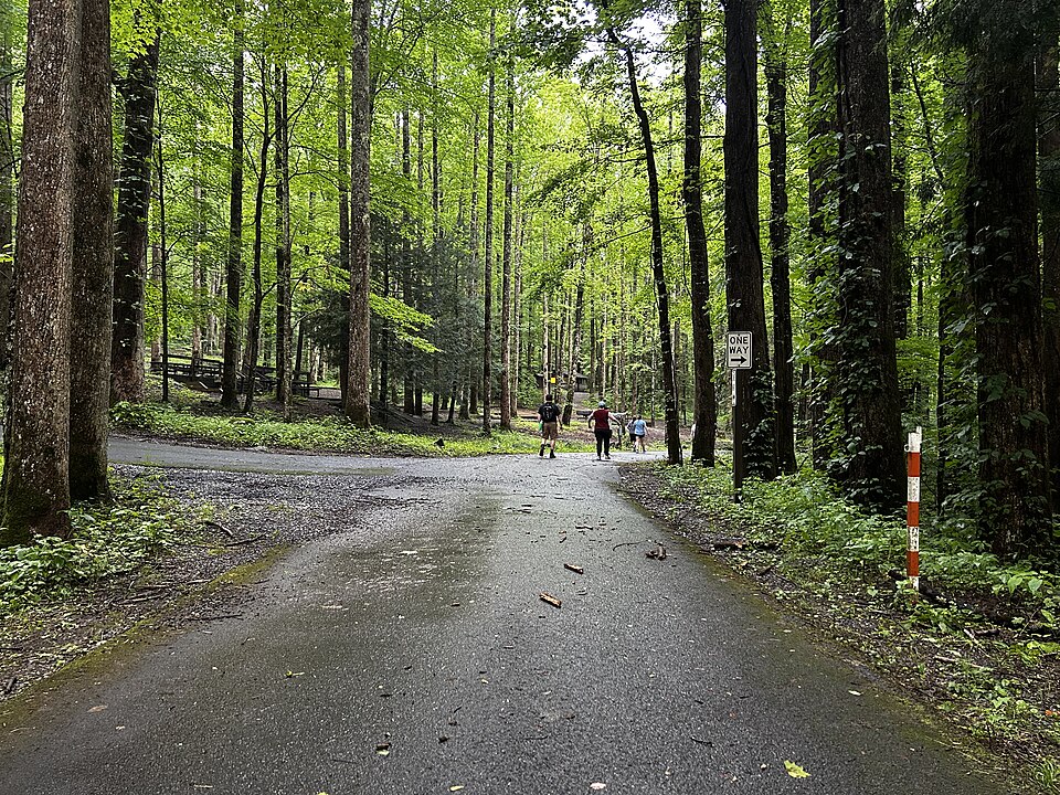 Road in Great Smoky Mountains National Park, illustrative activity photo