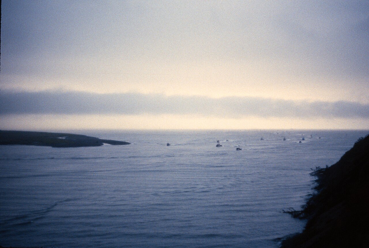 Driving down the Kenai Peninsula (50043432782), illustrative activity photo