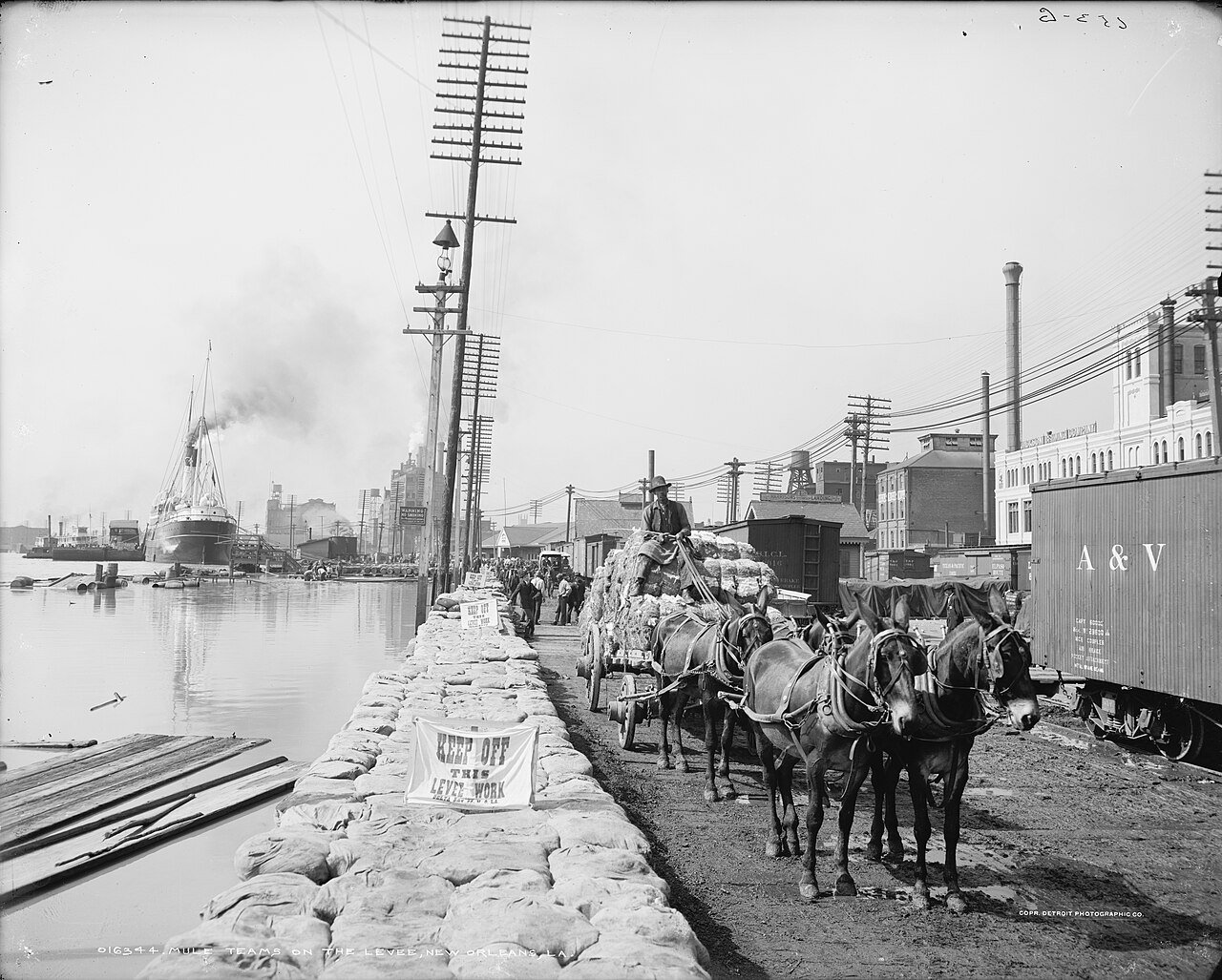KeepOffLevee1903, illustrative activity photo