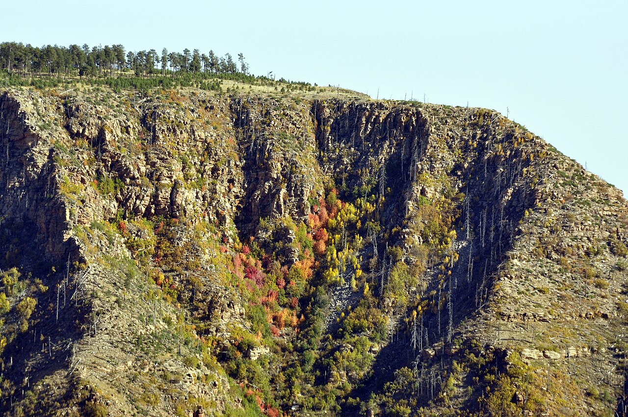 Mogollon Rim (4016359567), illustrative activity photo