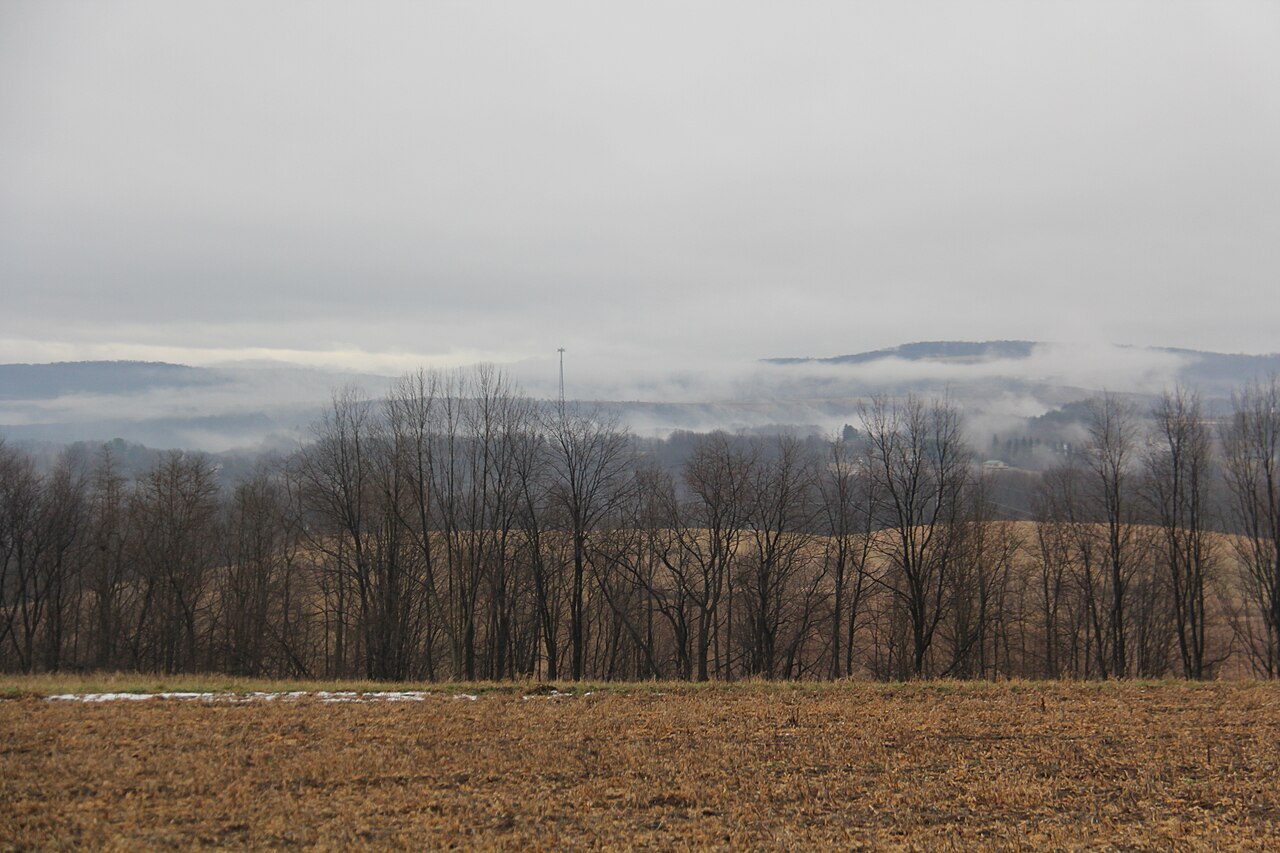Mountain Fog in Laurel Highlands - panoramio, illustrative activity photo