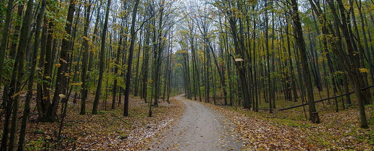 Manistee National Forest, illustrative activity photo