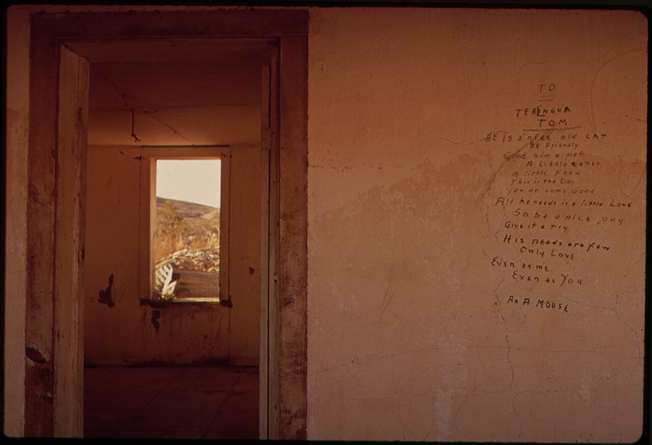 ABANDONED HOUSE IN TERLINGUA. TERLINGUA HAD A THRIVING MERCURY MINE UNTIL THE END OF WORLD WAR II - NARA - 545810, illustrative activity photo
