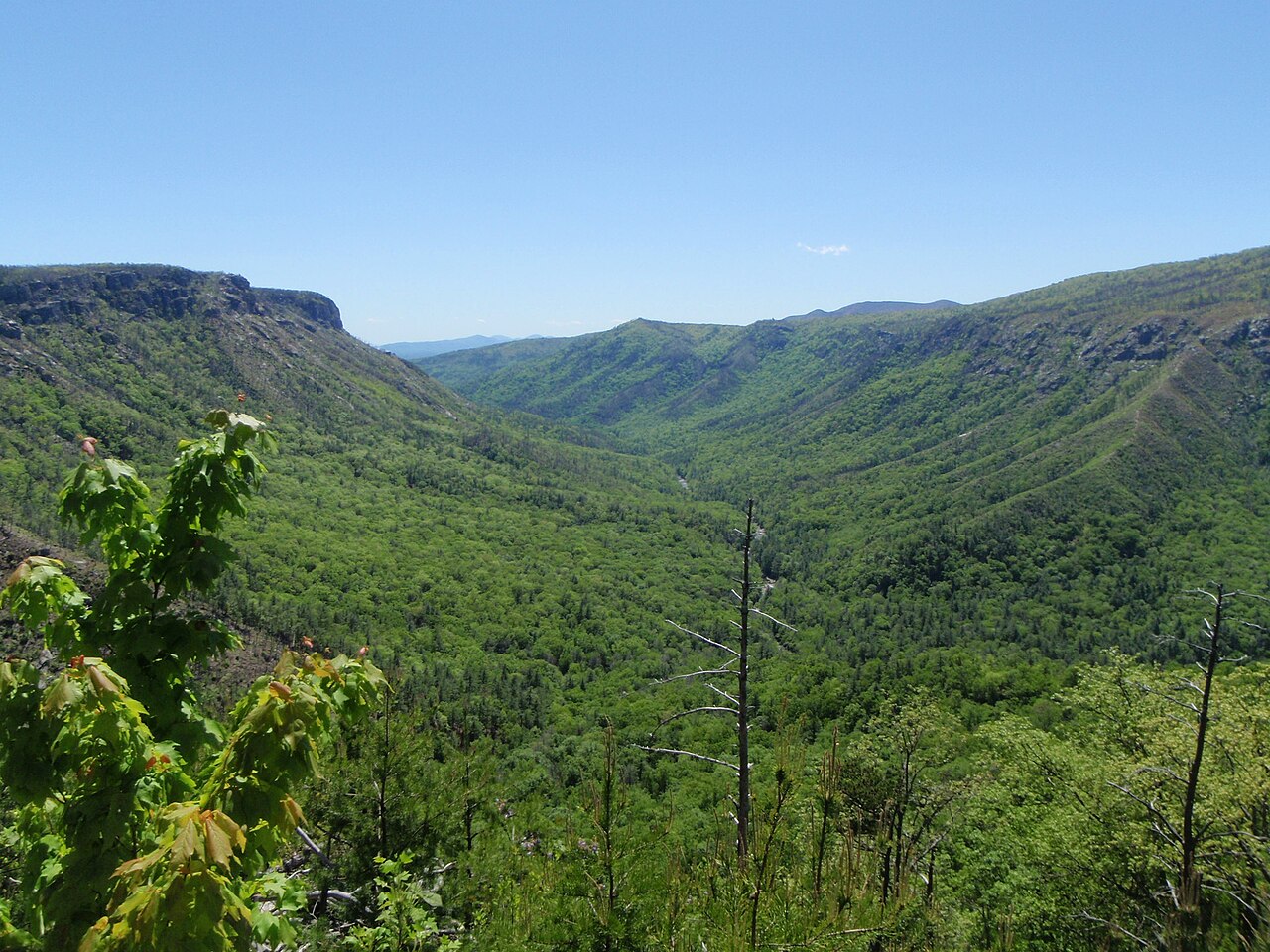 Linville Gorge 2, illustrative activity photo