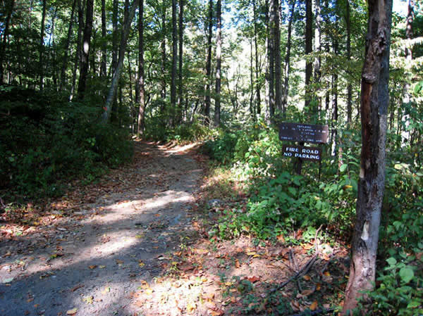 Rose River Fire Road in Shenandoah National Park, October 2007, illustrative activity photo
