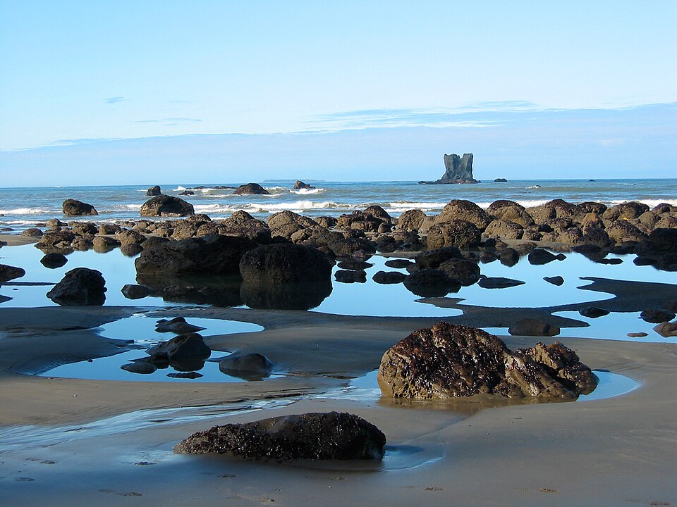 Olympic Coast, illustrative activity photo