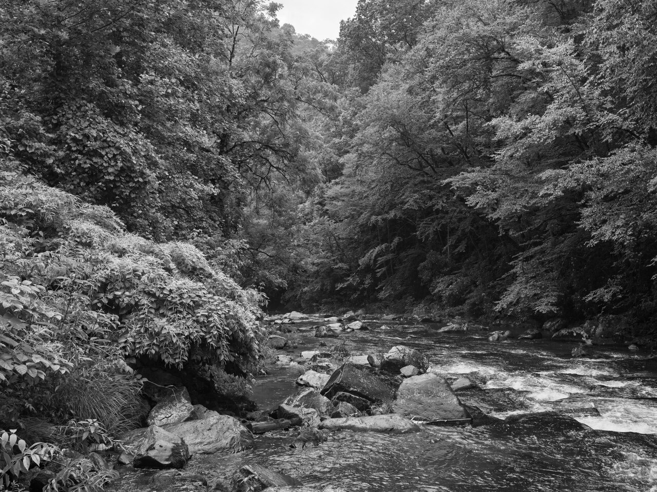 Public Lands Institute - Nantahala National Forest - 008, illustrative photo