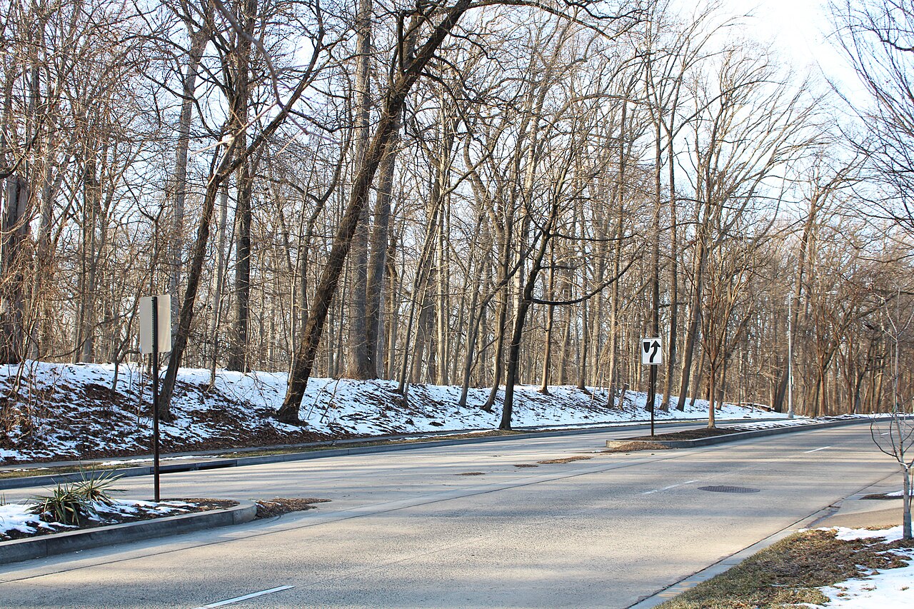 Rock Creek Park - Winter 2021 02, illustrative photo