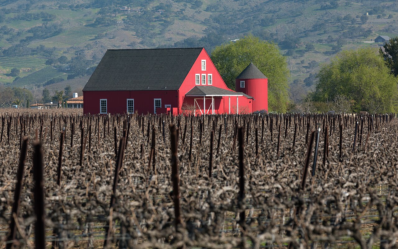 House on Oak Knoll Ave, Napa Valley-1138, illustrative activity photo