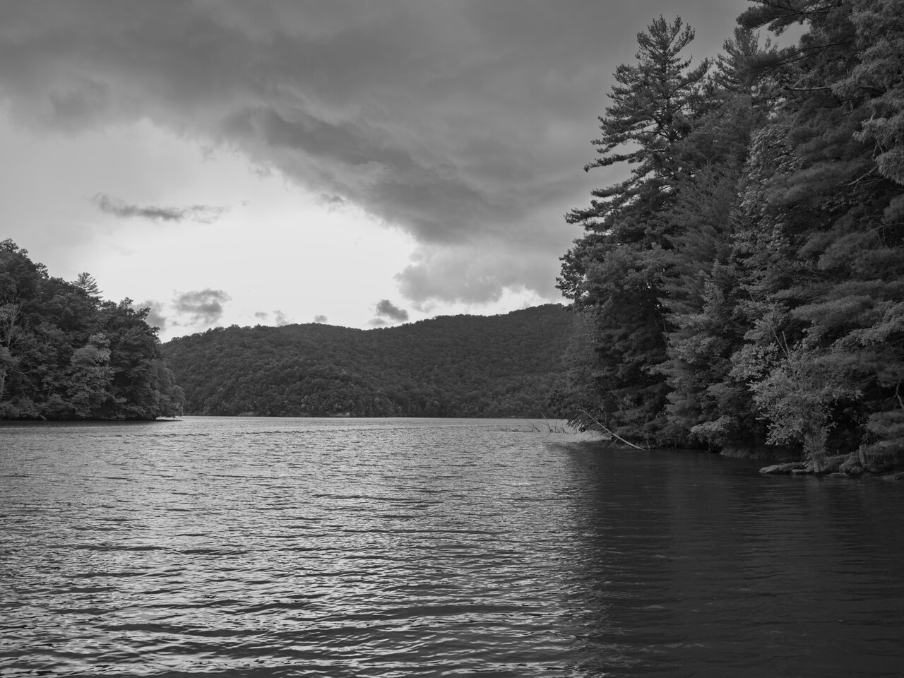 Public Lands Institute - Nantahala National Forest - 007, illustrative photo