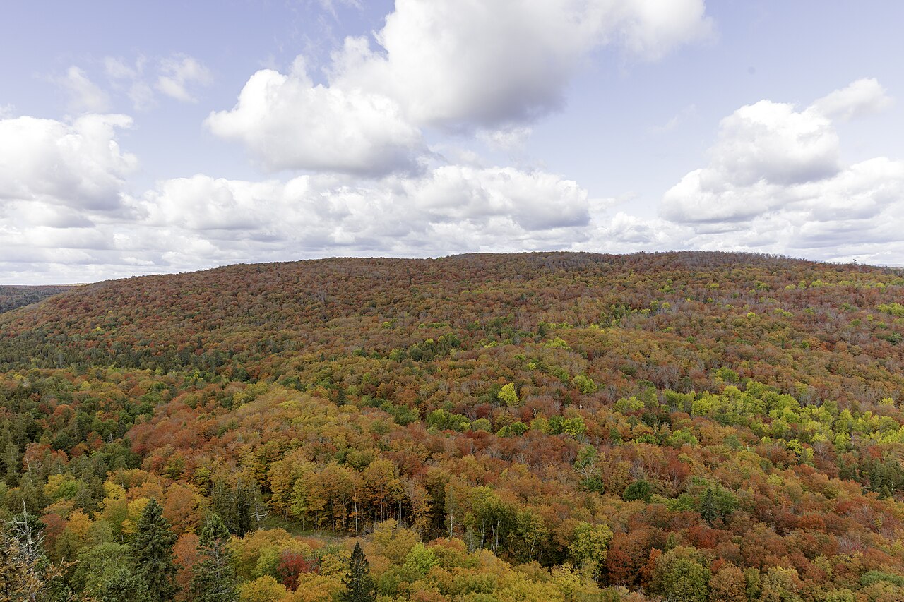 Autumn leaves in the Sawtooth Mountains in Lutsen, Minnesota, illustrative activity photo