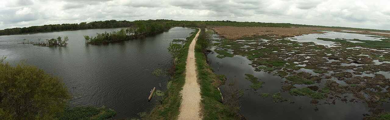 Brazos Bend State Park, Observation Tower — illustrative photo, not partner inventory