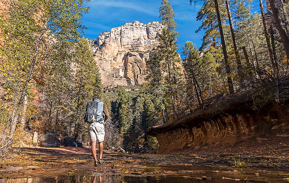 Man Hiking Along The West Fork Trail In Sedona AZ, illustrative activity photo