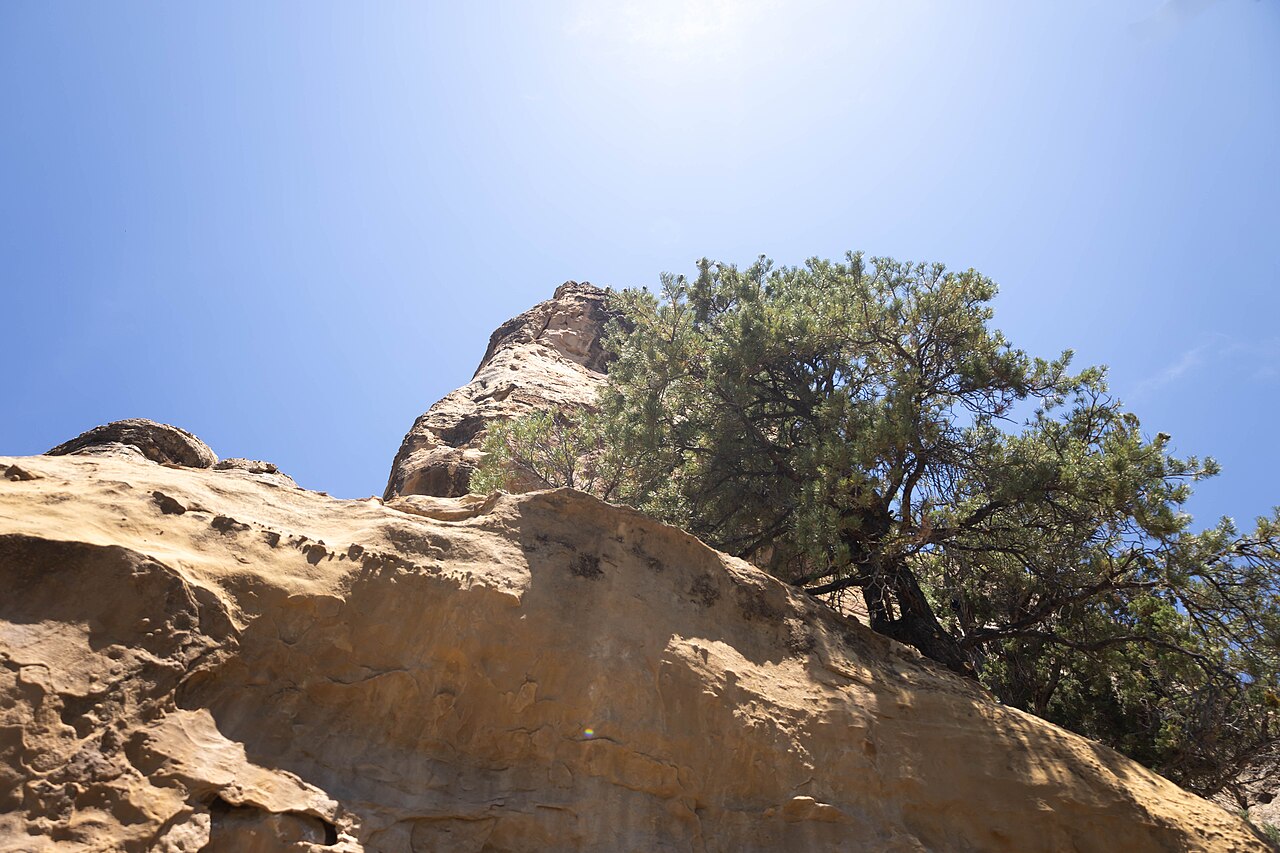 2024-06-08 Mesa Verde National Park - 165, illustrative photo