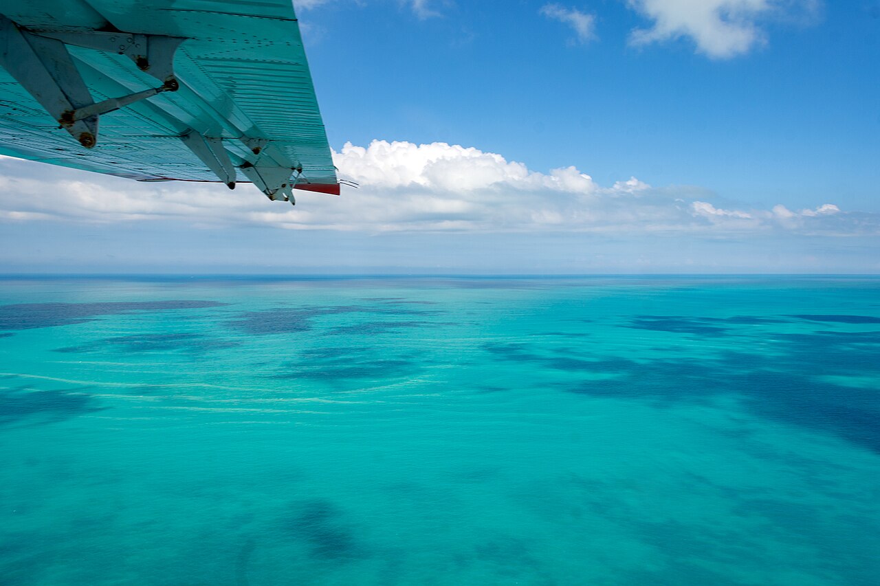 Dry Tortugas National Park - 49624026058, illustrative activity photo